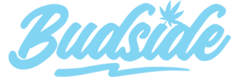 Budside Logo