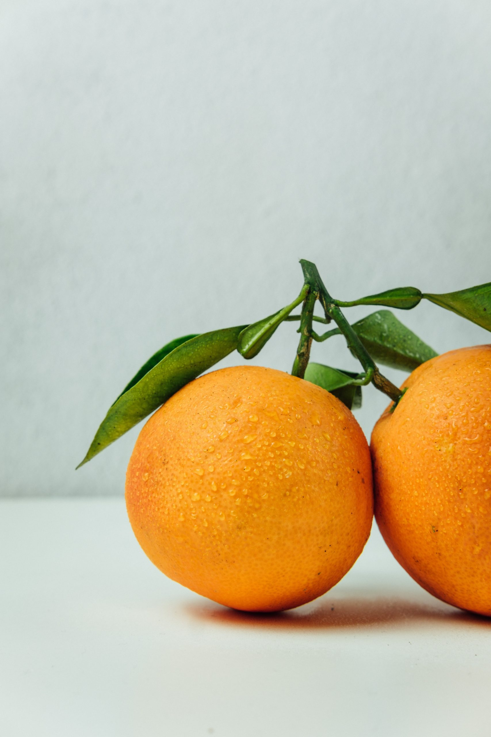 What in the world are terpenes?