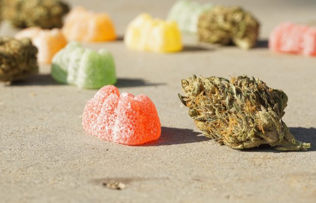 The World of Cannabis Consumption: Edibles vs. Smoking