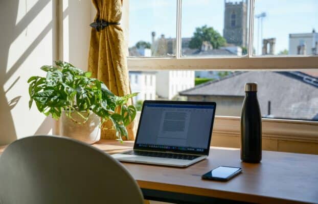 Best Cannabis Strains for Productivity (That Won’t Ruin Your Day)