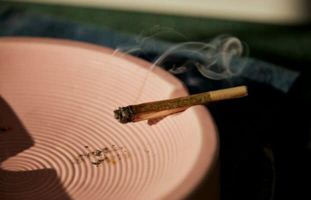 Infused Pre-Rolls vs Regular High THC Pre-Rolls: Which One Should You Choose?