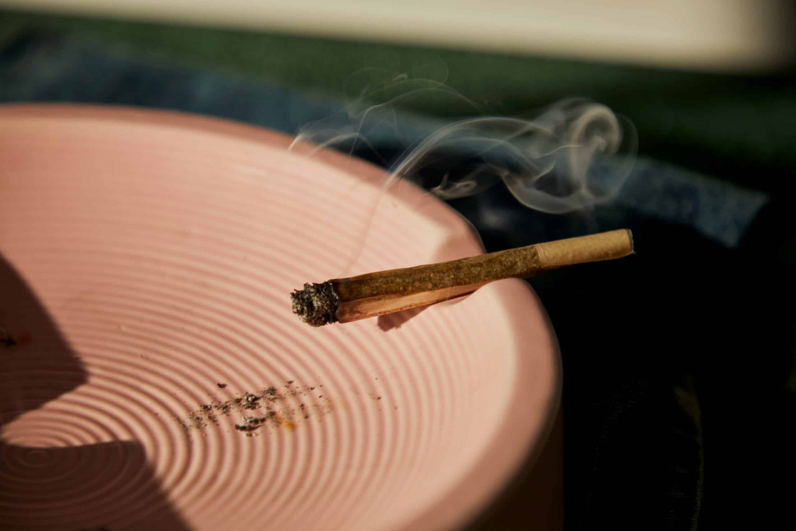 Infused Pre-Rolls vs Regular High THC Pre-Rolls: Which One Should You Choose?